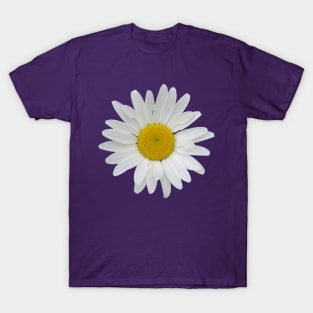 Daisy T-Shirt